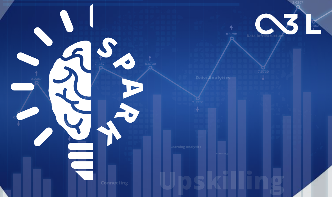 SPARK Complexity Leadership SPARK_101