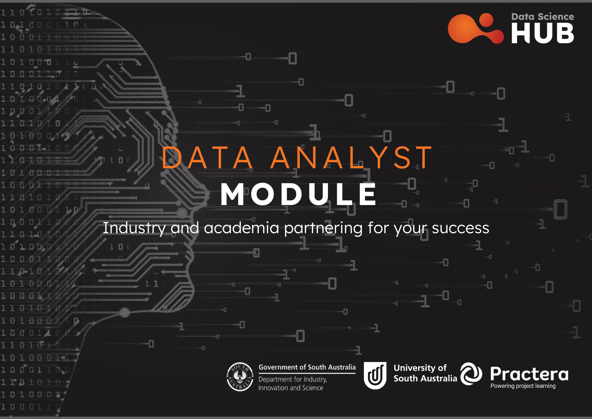 Data Analyst 101